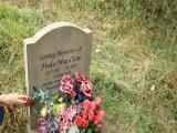 image of grave number 336730
